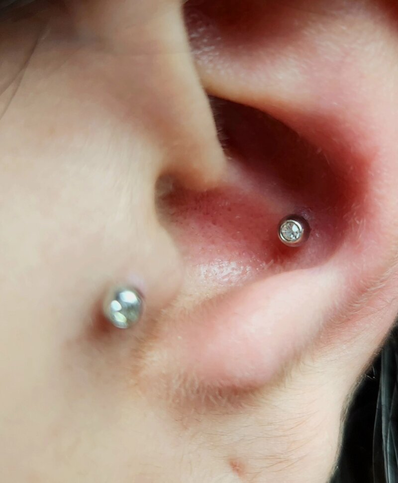 Double conch cartilage piercing done at Mindcrusher Tattoo, Rogers Park Chicago