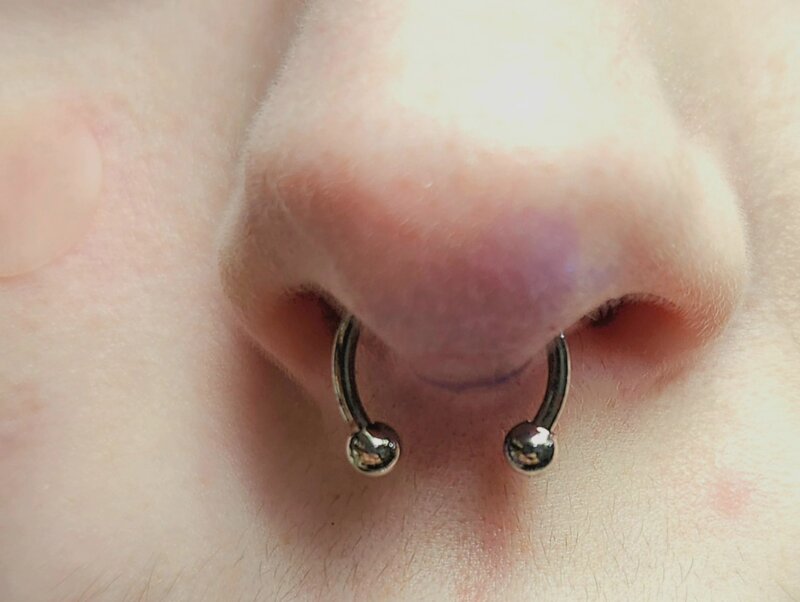 Semptum piercing circular barbell by Mindcrusher Tattoo, Rogers Park Chicago